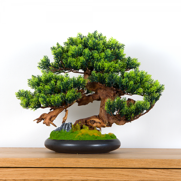 Pokojová dekorativní bonsai - borovice, výška 37 cm...